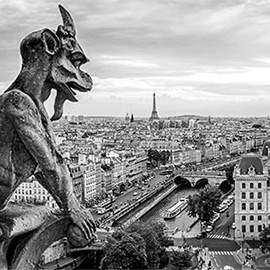 Puzzle 1000 Chrlič v Paríži