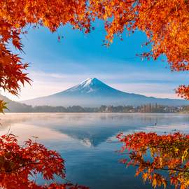 Puzzle 1000 Autumn splendor of Mount Fuji